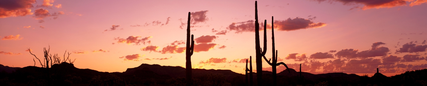 SAVE THE DATE
2027 LEIU/IALEIA Annual Training Event
Phoenix, Arizona
April 26 - April 30, 2027
